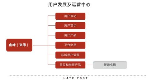 淘寶天貓融合 產品與運營策略的協同攻堅